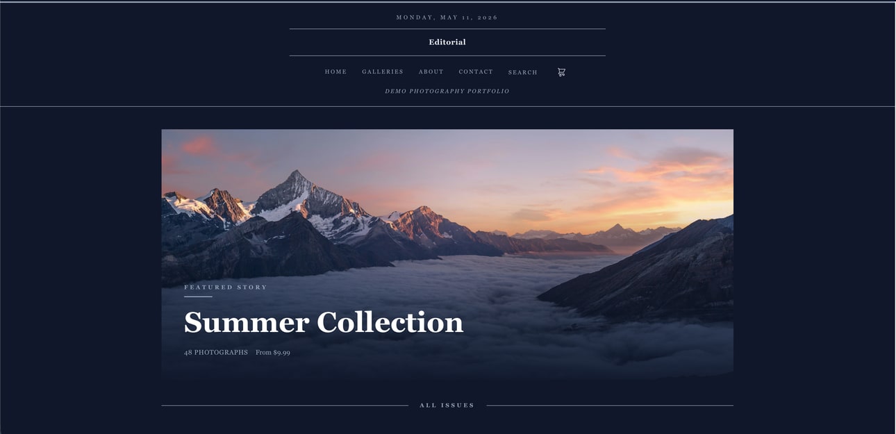 Editorial theme preview